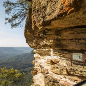 블루마운틴 일일 투어 솔직 후기 | 실사용자 리뷰 분석 - 상품 이미지 4