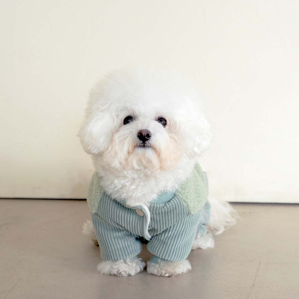 강아지올인원패딩 강아지겨울옷 로이올인원+실내복