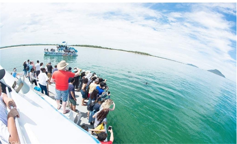 시드니  포트 스테판 일일 투어 (한국어 가이드) 솔직 후기 | 실사용자 리뷰 분석 - 대표 이미지