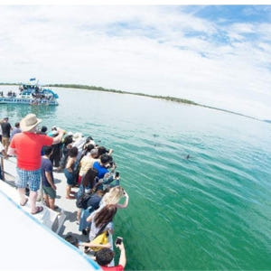 시드니  포트 스테판 일일 투어 (한국어 가이드) 솔직 후기 | 실사용자 리뷰 분석 - 상품 이미지 1