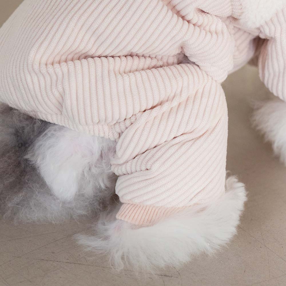 강아지올인원패딩 강아지겨울옷 로이올인원+실내복