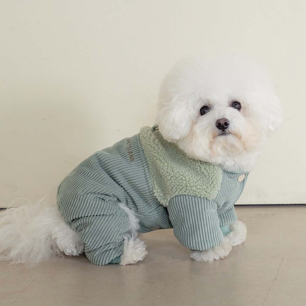 강아지올인원패딩 강아지겨울옷 로이올인원+실내복