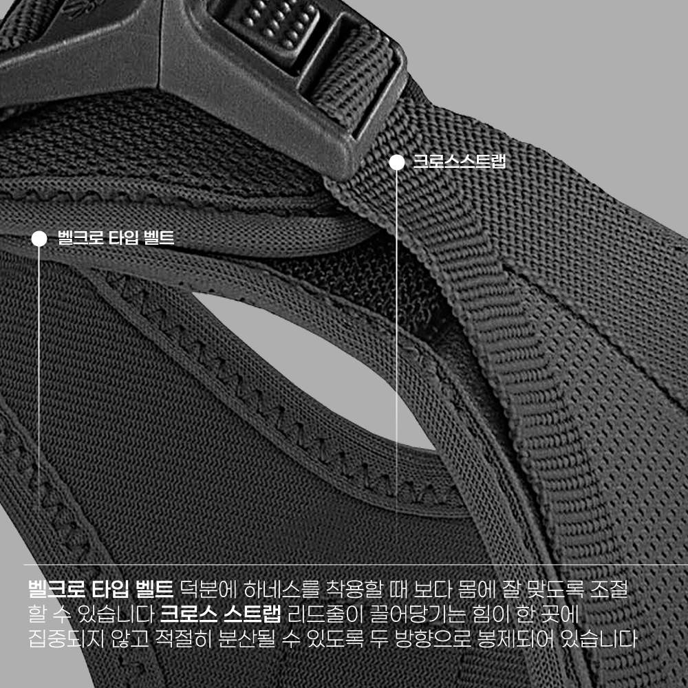 스위스 큘리 시그니쳐 하네스 블랙, L-가슴둘레 49.1-55.4cm