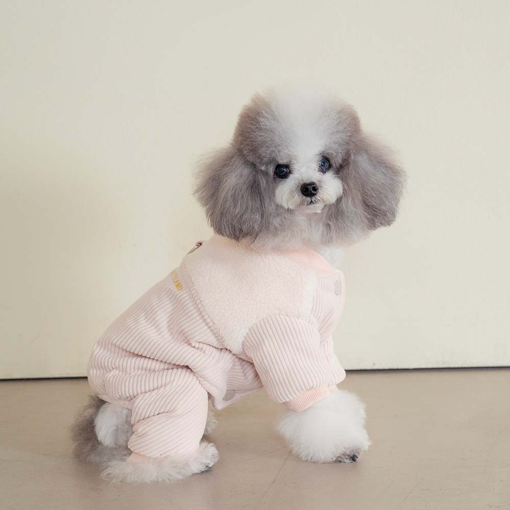 강아지올인원패딩 강아지겨울옷 로이올인원+실내복