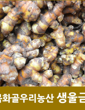 친환경 생울금 생강황 1kg
