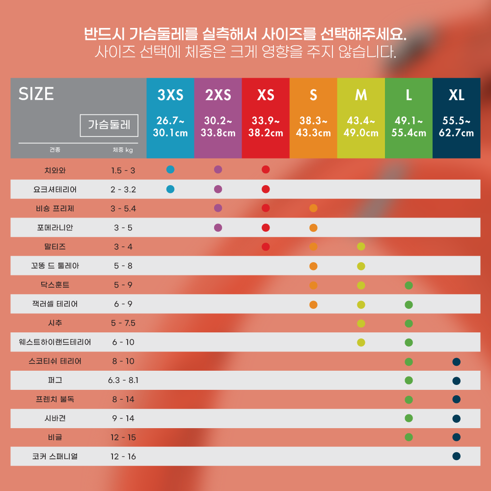 스위스 큘리 시그니쳐 하네스 썬오렌지 - 상세 이미지 3