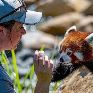 시드니 블루 마운틴 일일 투어 솔직 후기 | 실사용자 리뷰 분석 - 상품 이미지 2