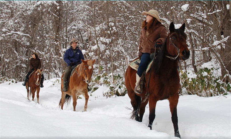 일본 [홋카이도 이색 체험] 삿포로 스노 호스 라이딩 (시내 픽업 포함) 솔직 후기 | 실사용자 리뷰 분석 - 대표 이미지