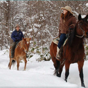 일본 [홋카이도 이색 체험] 삿포로 스노 호스 라이딩 (시내 픽업 포함) 솔직 후기 | 실사용자 리뷰 분석 - 상품 이미지 1