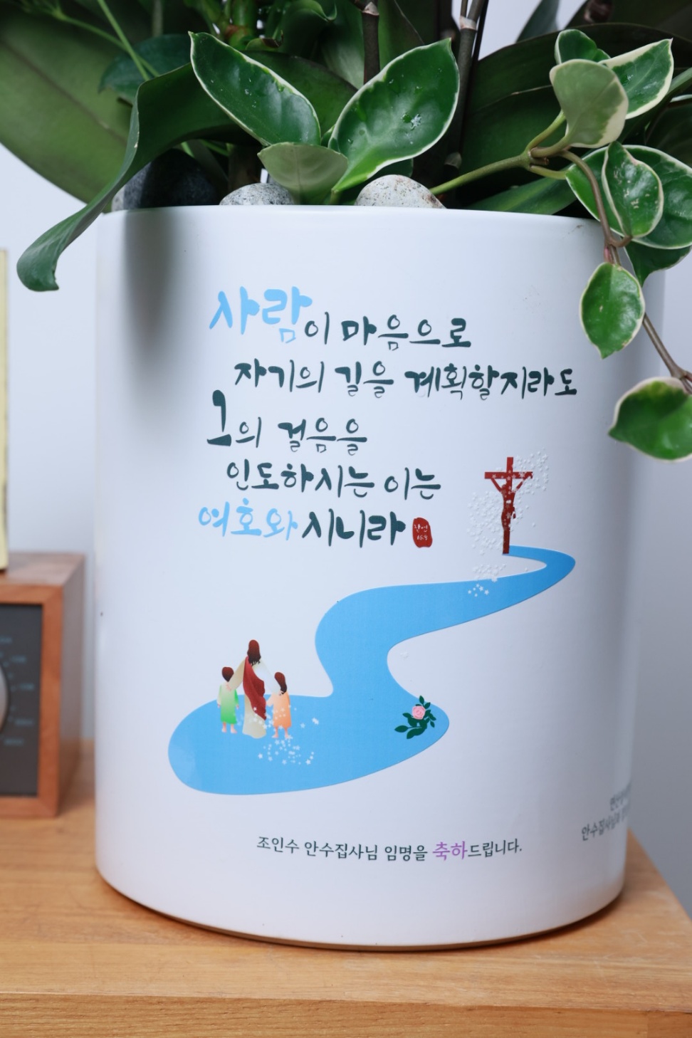 (녹보수 여인초) 대형 메세지 개업축하선물 합격 화분 승진 - 상세 이미지 2