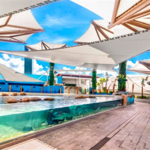 필리핀 세부 오션파크 입장권 솔직 후기 | 실사용자 리뷰 분석 - 상품 이미지 4