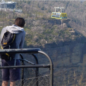 시드니  블루마운틴 일일 투어 + 리버 크루즈 (시드니 출발) 솔직 후기 | 실사용자 리뷰 분석 - 상품 이미지 1