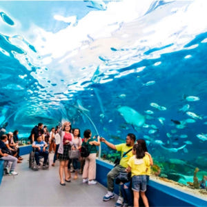 필리핀 세부 오션파크 입장권 솔직 후기 | 실사용자 리뷰 분석 - 상품 이미지 2