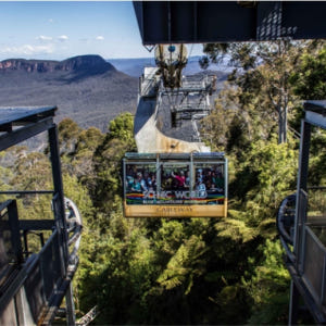 시드니  블루마운틴 일일 투어 + 리버 크루즈 (시드니 출발) 솔직 후기 | 실사용자 리뷰 분석 - 상품 이미지 2