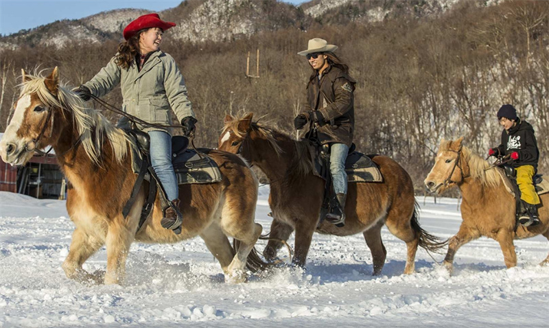 일본 [홋카이도 이색 체험] 삿포로 스노 호스 라이딩 (시내 픽업 포함) 이미지 3