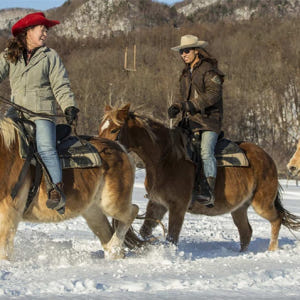 일본 [홋카이도 이색 체험] 삿포로 스노 호스 라이딩 (시내 픽업 포함) 솔직 후기 | 실사용자 리뷰 분석 - 상품 이미지 3