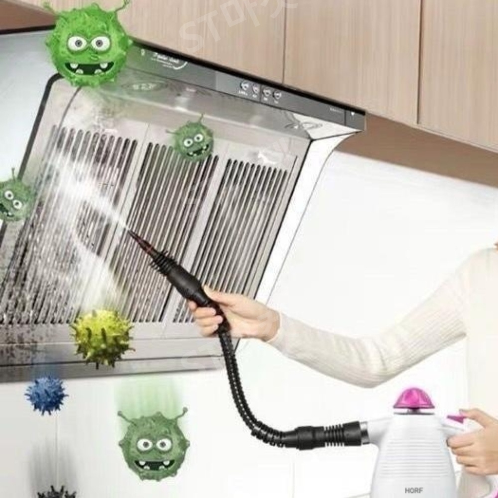 고압 스팀청소기 고온 살균 세척 스팀 분사기 침대 빈대제거 진드기 빈대 제거 퇴치 이미지 3