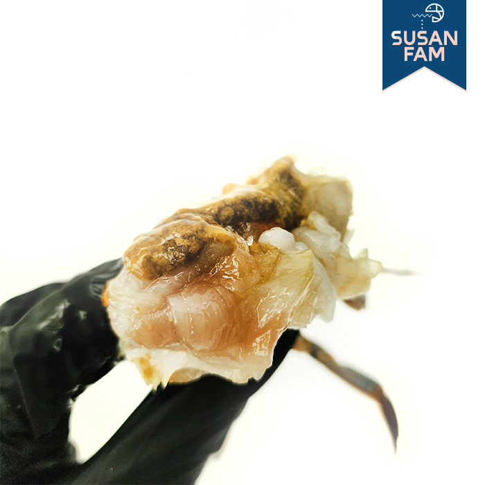 국내산(서해안) 손질꽃게 500g 절단 꽃게 가을 냉동꽃게 - 상세 이미지 4