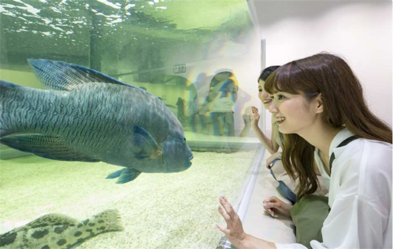 일본 【입장권】오사카 NIFREL 뮤지엄 입장권 이미지 4