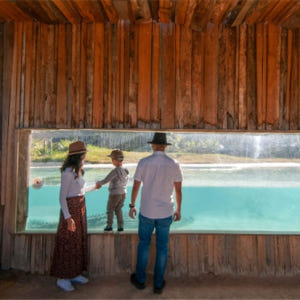 시드니 동물원 입장권 솔직 후기 | 실사용자 리뷰 분석 - 상품 이미지 2
