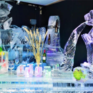 싱가포르 스노우시티 티켓 솔직 후기 | 실사용자 리뷰 분석 - 상품 이미지 1