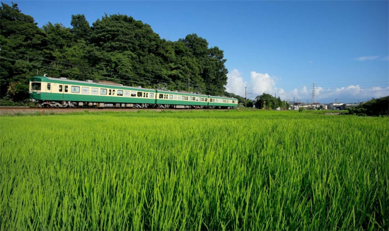 일본 간토 근교 승차권｜이즈 하코네선 철도 1일 승차권 및 2일 승차권 이미지 2