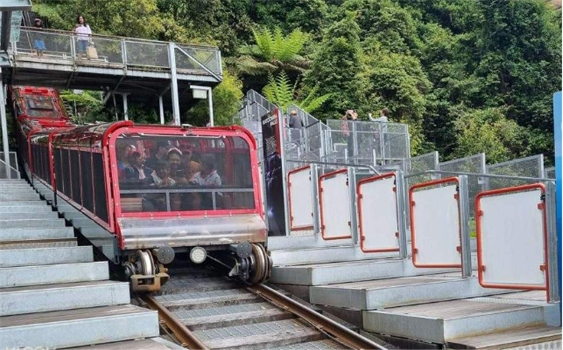 시드니 블루마운틴 & 시드니 동물원 일일 투어 (한국어 가이드 포함) 이미지 4