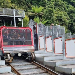 시드니  블루마운틴 & 시드니 동물원 일일 투어 (한국어 가이드 포함) 솔직 후기 | 실사용자 리뷰 분석 - 상품 이미지 4