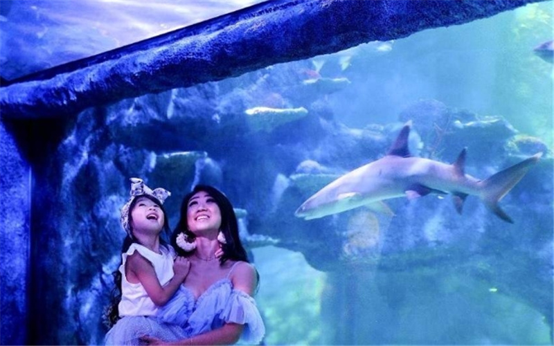 호주 시드니 씨라이프 아쿠아리움 입장권 솔직 후기 | 실사용자 리뷰 분석 - 대표 이미지