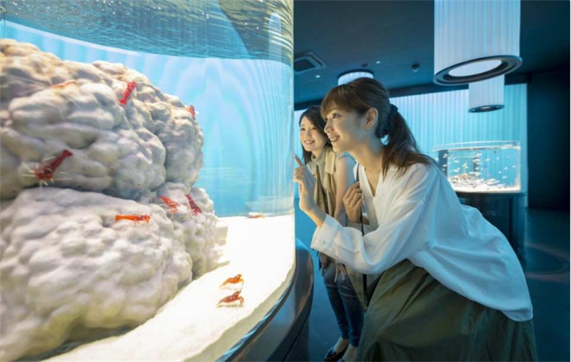 일본 【입장권】오사카 NIFREL 뮤지엄 입장권 이미지 3