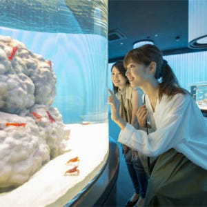 일본 【입장권】오사카 NIFREL 뮤지엄 입장권 솔직 후기 | 실사용자 리뷰 분석 - 상품 이미지 3