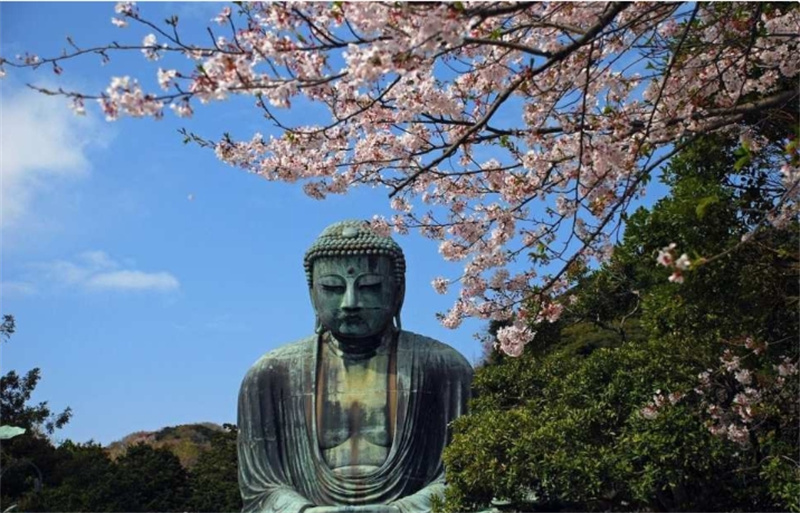 일본 [도쿄 버스 일일 투어]가마쿠라, 츠루가오카하치만궁, 가마쿠라 대불, 고토쿠인 하세데라, 에노시마 이미지 4