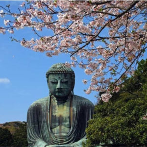 일본 [도쿄 버스 일일 투어]가마쿠라, 츠루가오카하치만궁, 가마쿠라 대불... 솔직 후기 | 실사용자 리뷰 분석 - 상품 이미지 4