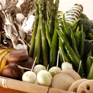 일본 도쿄｜긴자 튀김 전문점・튀김 아베 긴자 본점 솔직 후기 | 실사용자 리뷰 분석 - 상품 이미지 3