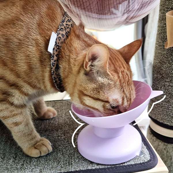 나마스펫 파스텔 고양이 밥그릇 강아지 물그릇 애견 식기 1구