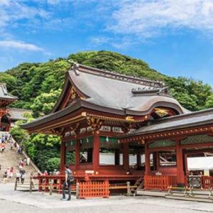 일본 [도쿄 버스 일일 투어]가마쿠라, 츠루가오카하치만궁, 가마쿠라 대불... 솔직 후기 | 실사용자 리뷰 분석 - 상품 이미지 3