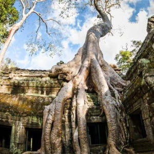 캄보디아 앙코르와트 투어 솔직 후기 | 실사용자 리뷰 분석 - 상품 이미지 1