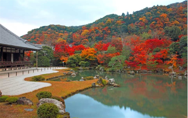 일본 교토 단풍여행 | 톈류지  아라시야마 도호쿠지 (교토역 출발) 이미지 3