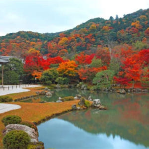 일본 교토 단풍여행 | 톈류지  아라시야마 도호쿠지 (교토역 출발) 솔직 후기 | 실사용자 리뷰 분석 - 상품 이미지 3