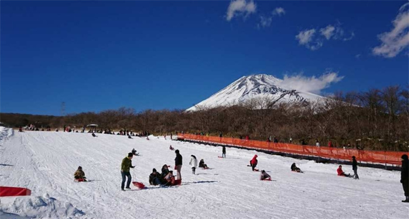 일본 야마나시 | 후지산 고고메, 오층탑, 가와구치호 케이블카, 사가미호 라이트쇼 버스 일일 투어 (신주쿠 출발) 이미지 3