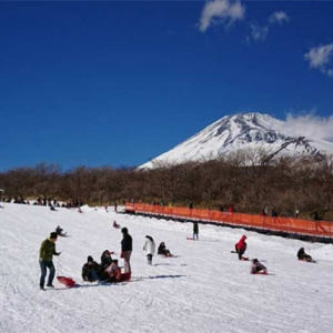 일본 야마나시 | 후지산 고고메, 오층탑, 가와구치호 케이블카, 사가미호... 솔직 후기 | 실사용자 리뷰 분석 - 상품 이미지 3