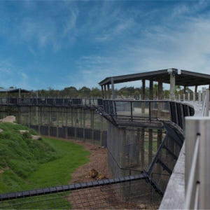 시드니  블루마운틴 & 시드니 동물원 일일 투어 (한국어 가이드 포함) 솔직 후기 | 실사용자 리뷰 분석 - 상품 이미지 2