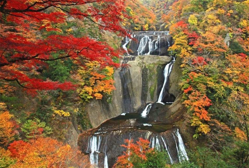 일본 이바라키 단풍놀이 | 후쿠로다 폭포 & 츠키요 폭포 & 하나누키 계곡 1일 투어 | 도쿄 긴자 출발 이미지 2
