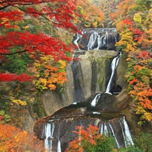 일본 이바라키 단풍놀이 | 후쿠로다 폭포 & 츠키요 폭포 & 하나누키 계... 솔직 후기 | 실사용자 리뷰 분석 - 상품 이미지 2