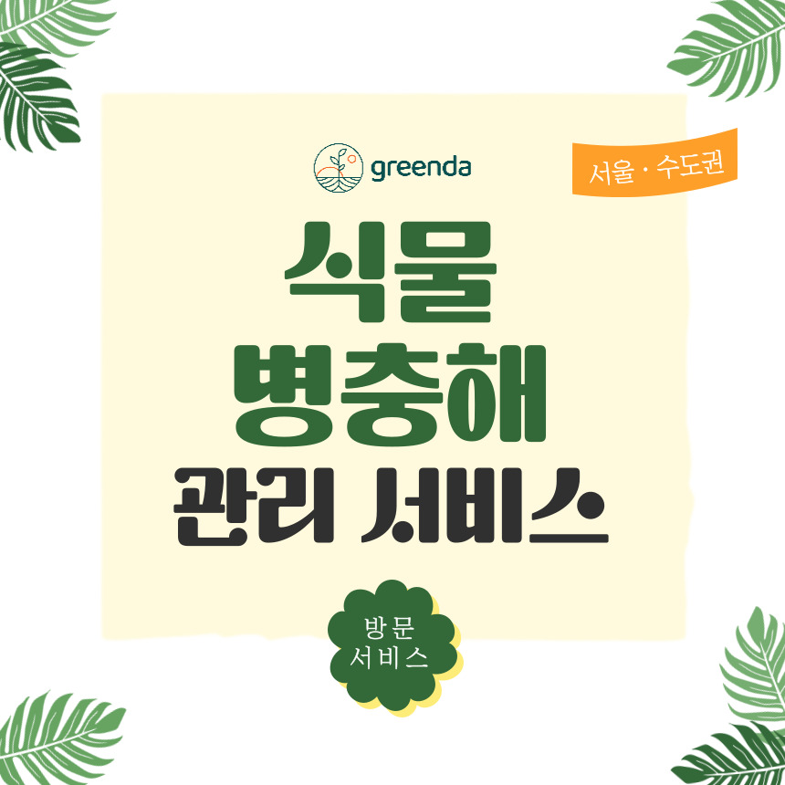 식물 병충해 관리 화분 케어 방문 서비스 - 상품 이미지