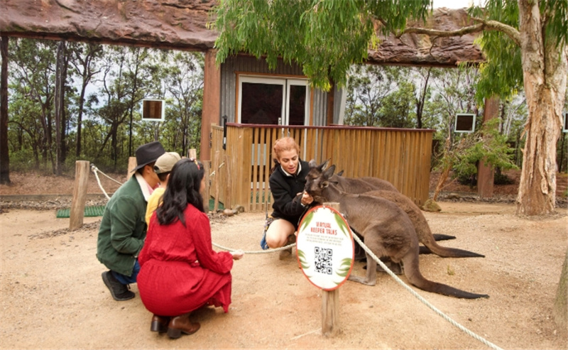 시드니 야생동물원 입장권 솔직 후기 | 실사용자 리뷰 분석 - 대표 이미지