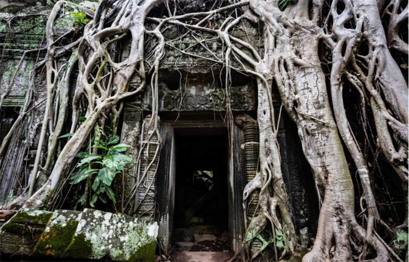 캄보디아 앙코르 일출 투어 이미지 4