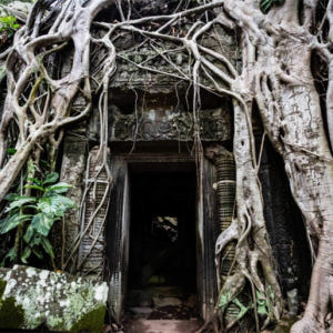 캄보디아 앙코르 일출 투어 솔직 후기 | 실사용자 리뷰 분석 - 상품 이미지 4