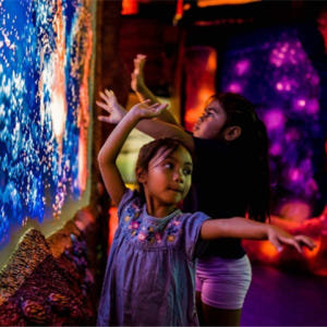 호주 시드니 씨라이프 아쿠아리움 입장권 솔직 후기 | 실사용자 리뷰 분석 - 상품 이미지 2