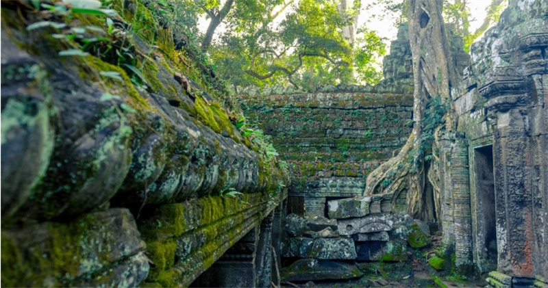 캄보디아 앙코르와트 일출 투어 (승려 축복 의식 포함) 솔직 후기 | 실사용자 리뷰 분석 - 대표 이미지